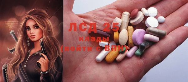 ГАЛЛЮЦИНОГЕННЫЕ ГРИБЫ Бронницы