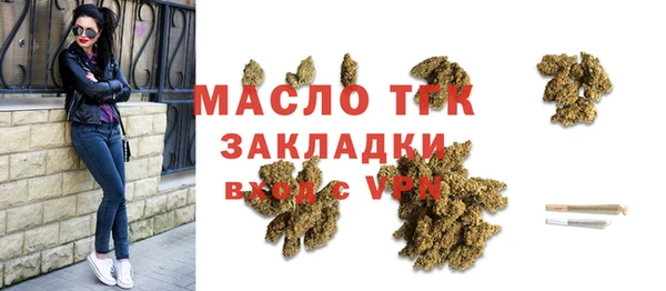 гидра Богородск