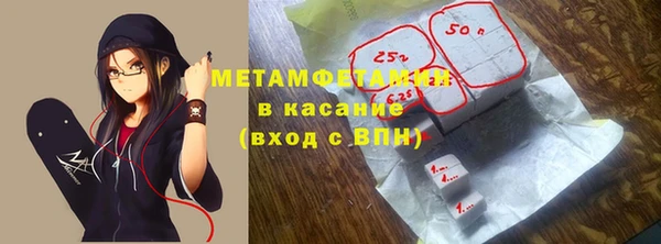 гидра Богородск