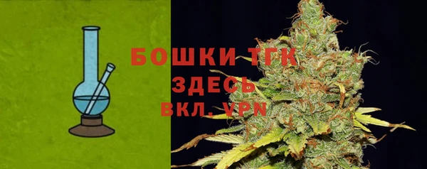 индика Богородицк