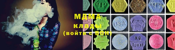 гидра Богородск