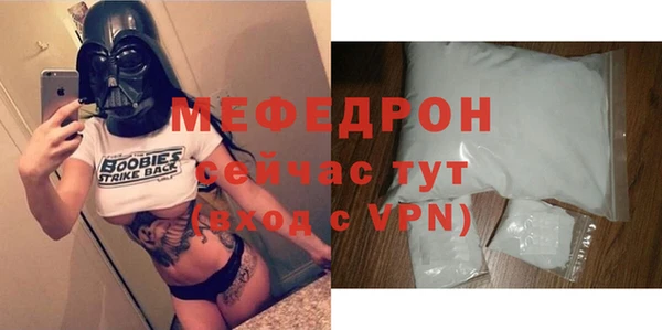индика Богородицк