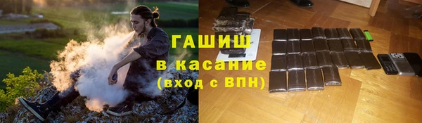 индика Богородицк