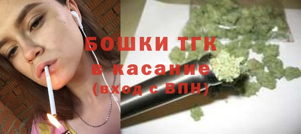 гидра Богородск