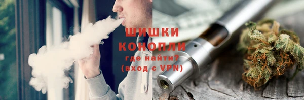 гидра Богородск