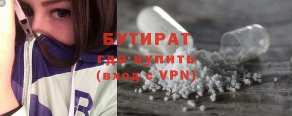 индика Богородицк
