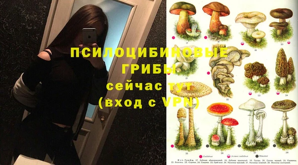 хмурый Богданович