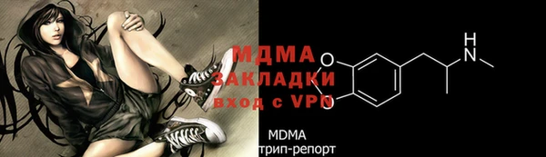 гидра Богородск
