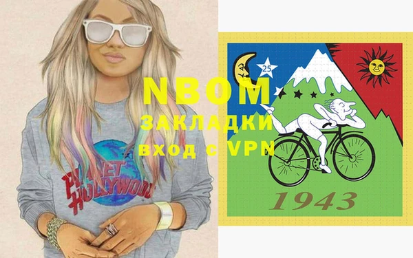 индика Богородицк