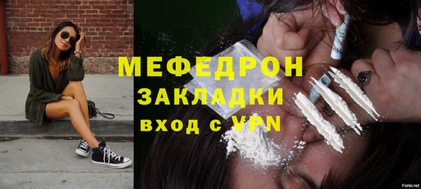 индика Богородицк