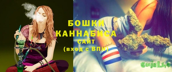 гидра Богородск
