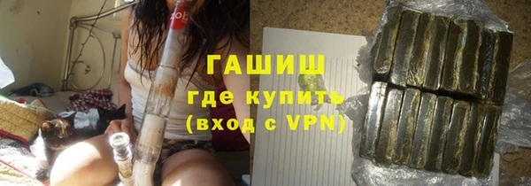 индика Богородицк