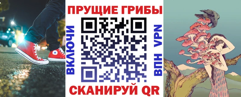 купить   Кузнецк  ОМГ ОМГ вход  Псилоцибиновые грибы Cubensis 