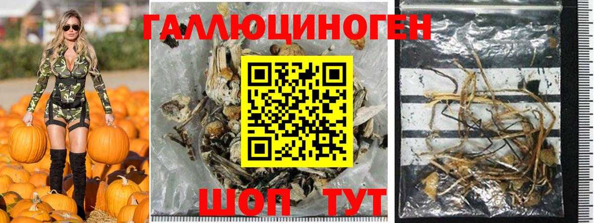 Кузнецк  Галлюциногенные грибы MAGIC MUSHROOMS  где купить наркоту  Вход с VPN 