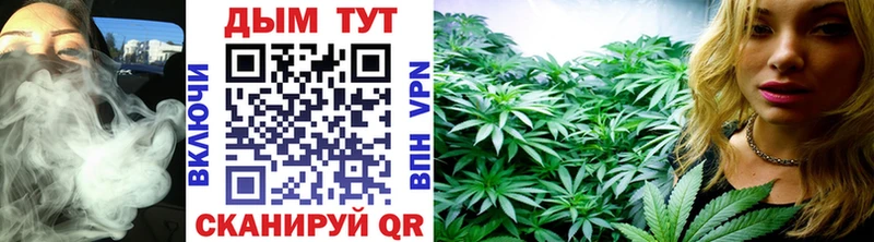 Марихуана SATIVA & INDICA  mega вход  Кузнецк 